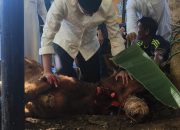 Kapolres Gowa Pimpin Pemotongan Hewan Kurban di Hari Raya Idul Adha 1446 H