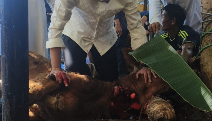 Kapolres Gowa Pimpin Pemotongan Hewan Kurban di Hari Raya Idul Adha 1446 H