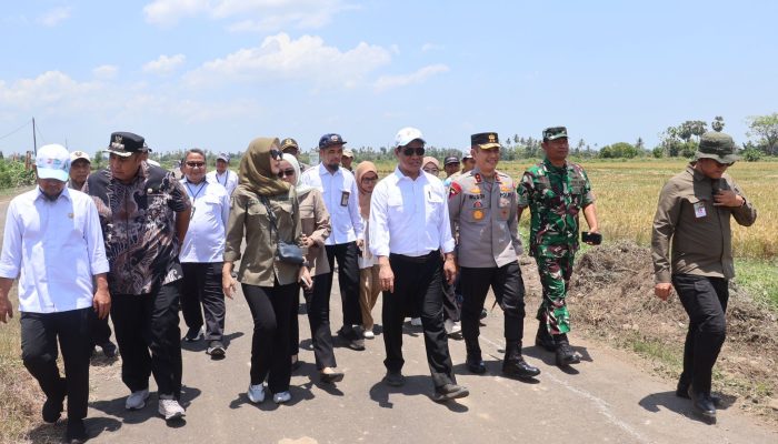 Kapolda Sulsel Hadiri Panen Raya Jagung Serentak Kuartal III di Kab. Gowa