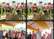 Kapolres Gowa Hadiri Panen Raya Jagung Serentak Kuartal IV 2026 di Bontomarannu.